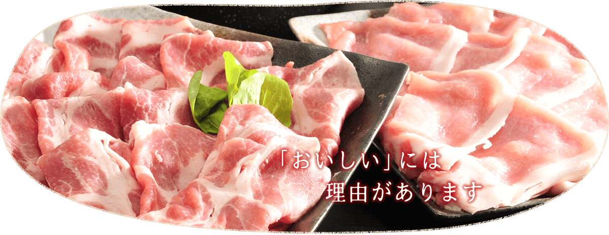 おいしさのひみつ