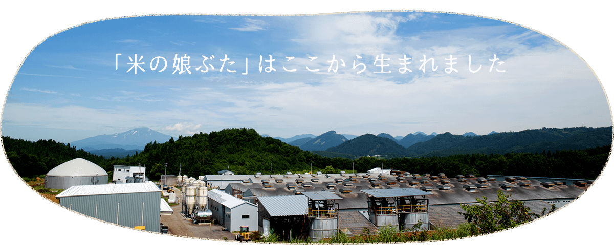 「米の娘ぶた」はここから生まれました